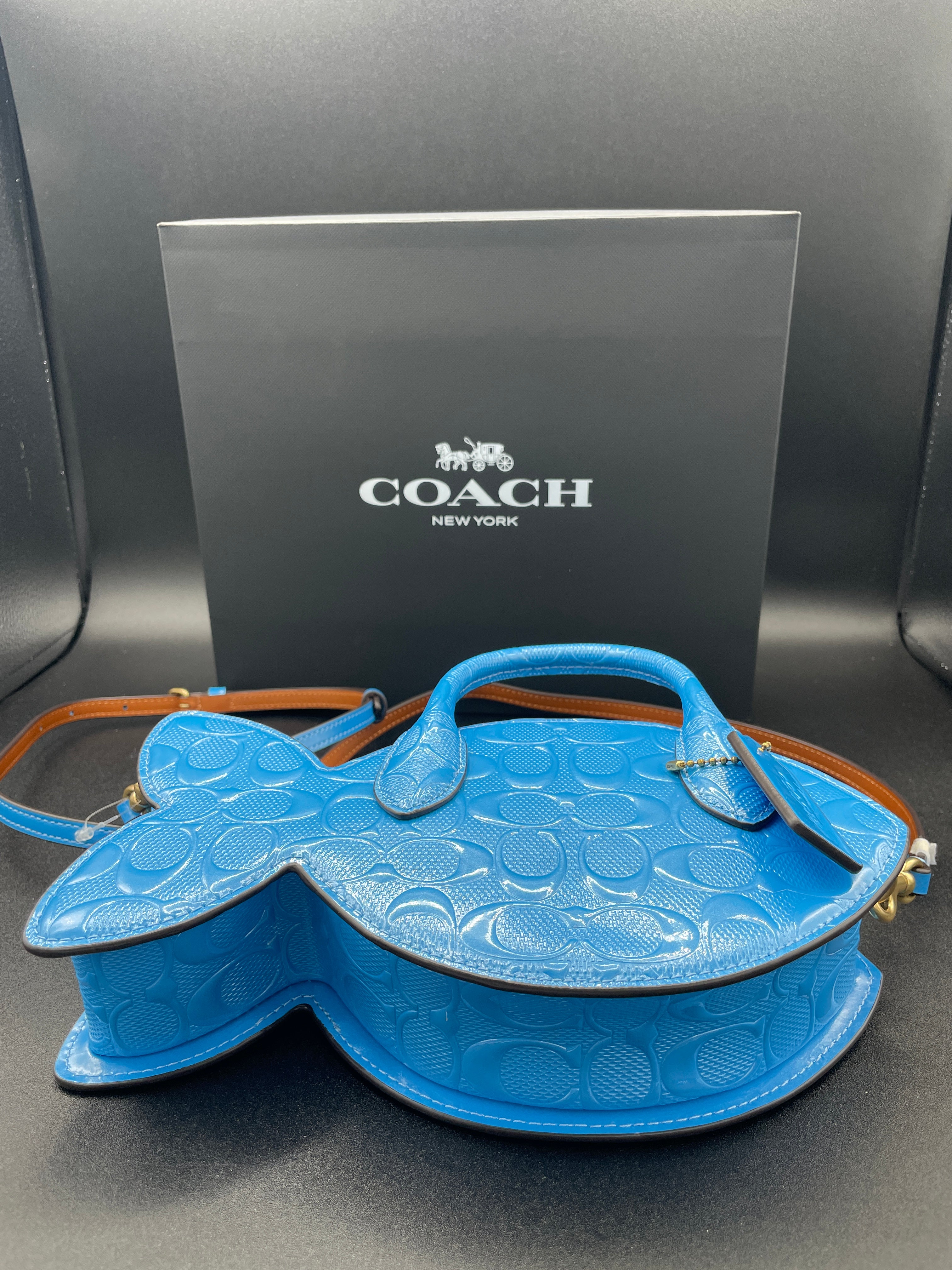 Coach Fish Bag In Signature Leather Imported